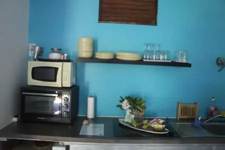 Studio confortable à La Trinité 30 m² avec vue mer et jardin - Photo 6