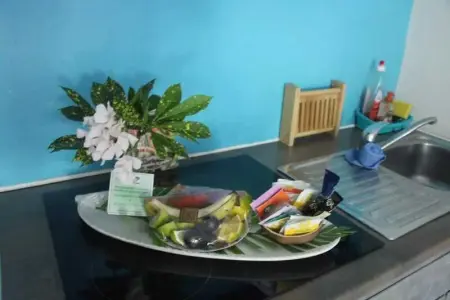 Studio confortable à La Trinité 30 m² avec vue mer et jardin - Photo 7