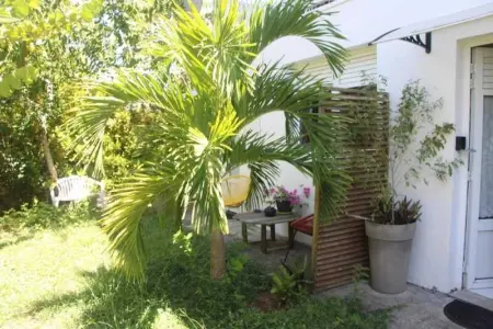 Studio confortable à La Trinité 30 m² avec vue mer et jardin - Photo 8