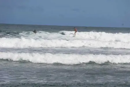 Studio confortable à La Trinité 30 m² avec vue mer et jardin - Photo 19