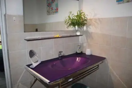 Studio confortable à La Trinité 30 m² avec vue mer et jardin - Photo 29