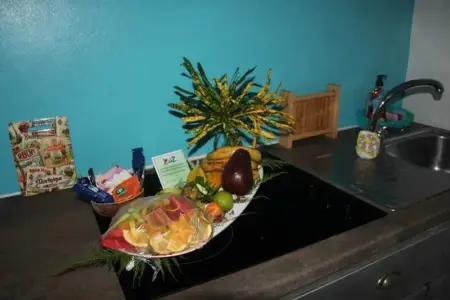 Studio confortable à La Trinité 30 m² avec vue mer et jardin - Photo 34