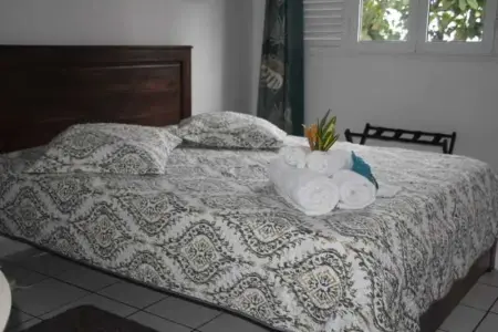 Studio confortable à La Trinité 30 m² avec vue mer et jardin - Photo 35