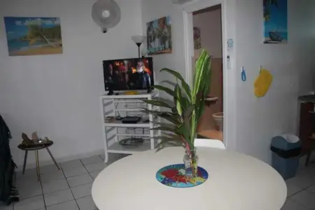 Studio confortable à La Trinité 30 m² avec vue mer et jardin - Photo 37
