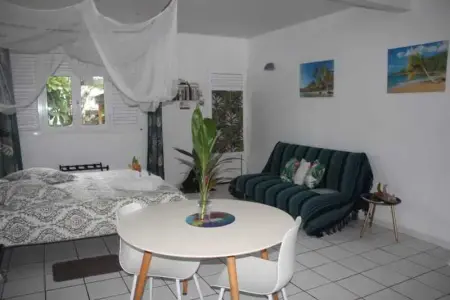 Studio confortable à La Trinité 30 m² avec vue mer et jardin - Photo 38