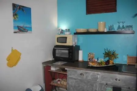 Studio confortable à La Trinité 30 m² avec vue mer et jardin - Photo 39