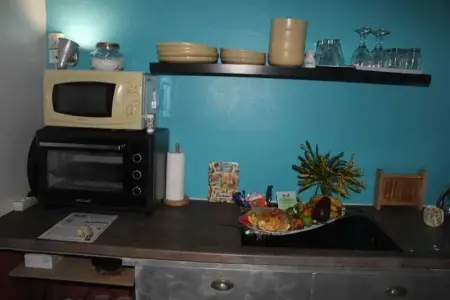 Studio confortable à La Trinité 30 m² avec vue mer et jardin - Photo 40