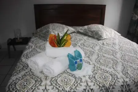 Studio confortable à La Trinité 30 m² avec vue mer et jardin - Photo 41