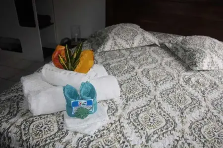 Studio confortable à La Trinité 30 m² avec vue mer et jardin - Photo 42