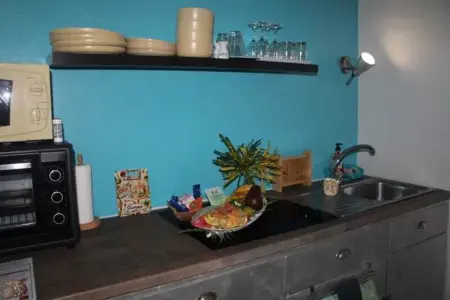 Studio confortable à La Trinité 30 m² avec vue mer et jardin - Photo 44