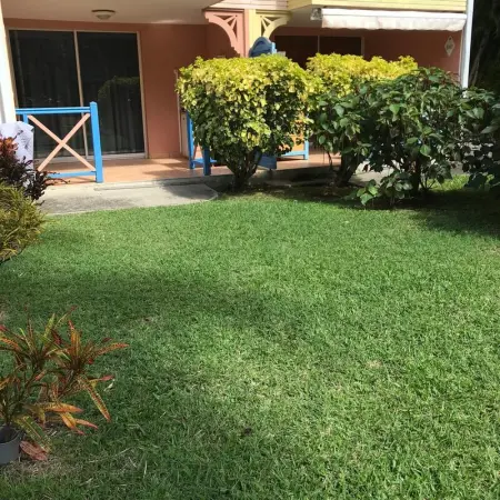 Studio confortable à Sainte-Anne - 25 m² - parking inclus - Photo 13