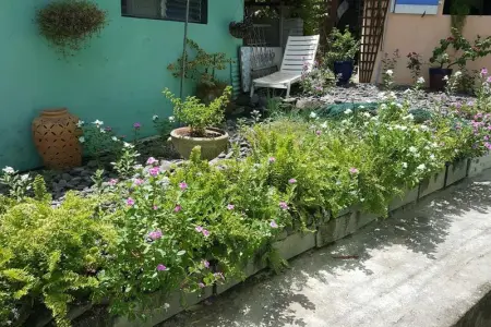 Maison à Schoelcher, Maison Charmante, Schoelcher, Terrasse - L1069902
