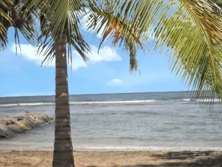 Villa élégante à Capesterre-Belle-Eau avec piscine privée - Photo 14