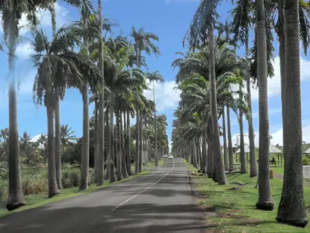Villa élégante à Capesterre-Belle-Eau avec piscine privée - Photo 15