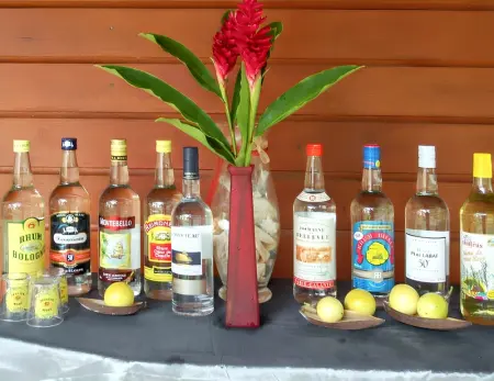 Villa élégante à Capesterre-Belle-Eau avec piscine privée - Photo 16