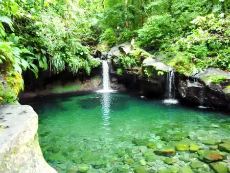 Villa élégante à Capesterre-Belle-Eau avec piscine privée - Photo 19