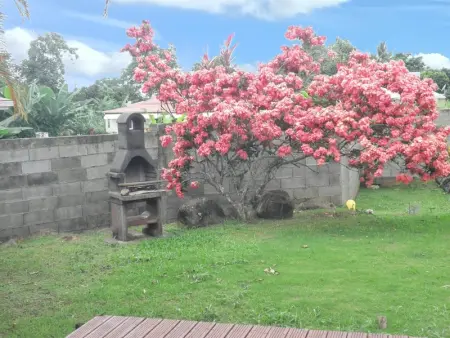 Villa élégante à Capesterre-Belle-Eau avec piscine privée - Photo 23