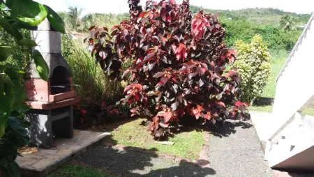 Appartement cosy Les Trois-Îlets 85 m² jardin verdoyant - Photo 11