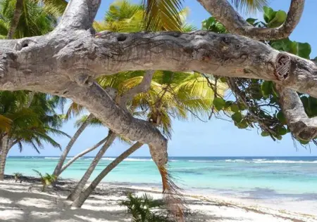 Appartement charmant à Capesterre-de-Marie-Galante, vue sur mer - Photo 8