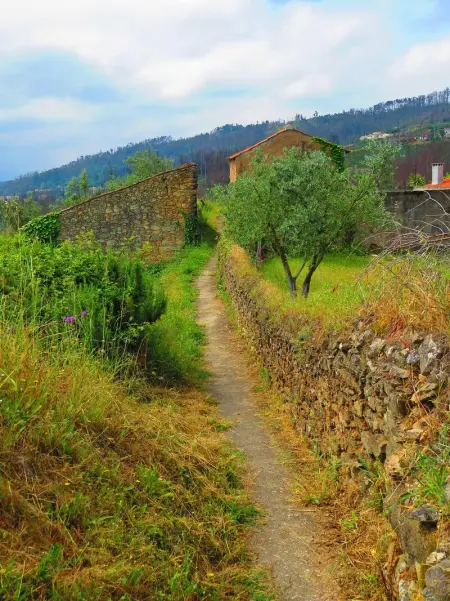 Maison confortable avec vue à Miranda do Corvo, Maison 4 personnes à Miranda do Corvo - Photo 23