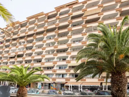 Flamingo on the south next to the beach, Appartement 3 personnes à Palm  Mar - Photo 25