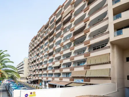 Flamingo on the south next to the beach, Appartement 3 personnes à Palm  Mar - Photo 26