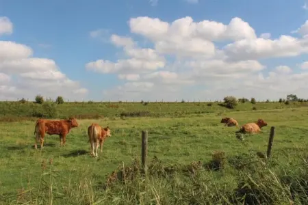 Lark, Appartement 6 personnes à Turnhout - Photo 19