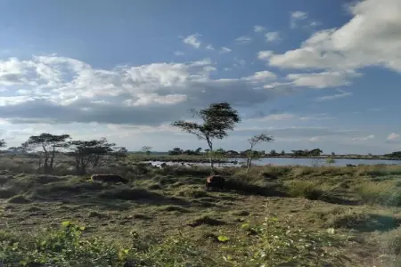 Lark, Appartement 6 personnes à Turnhout - Photo 25