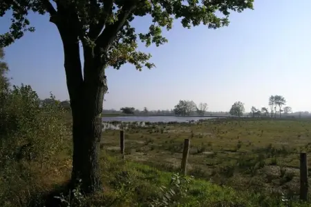 Safari tent for 5 person, Appartement 5 personnes à Turnhout - Photo 25