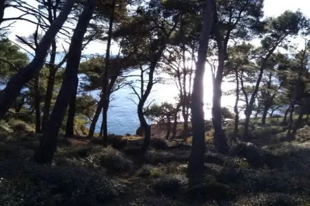 Safari tent for 5 person, Appartement 5 personnes à Turnhout - Photo 35