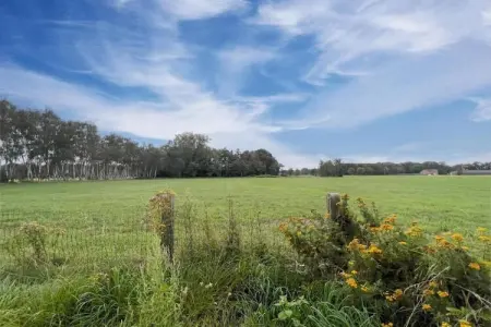 Grande Large, Mobil Home 6 personnes à Turnhout - Photo 39