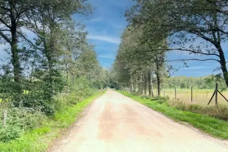 O’Hara, Appartement 4 personnes à Turnhout - Photo 34