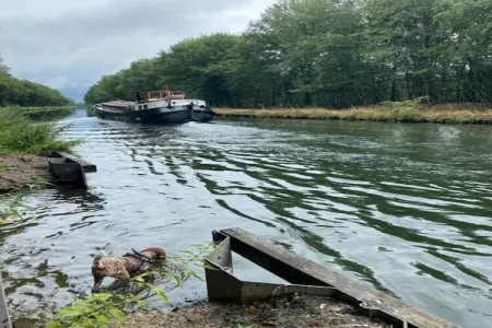 Super Cordelia, Appartement 6 personnes à Turnhout - Photo 29