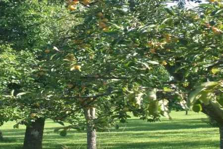 Dreamer 49, Appartement 6 personnes à Signy l’Abbaye - Photo 19