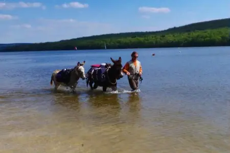 Dreamer 49, Appartement 6 personnes à Signy l’Abbaye - Photo 21
