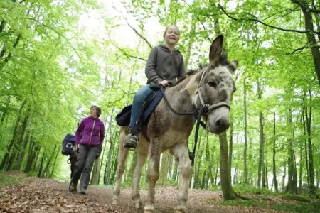Dreamer 49, Appartement 6 personnes à Signy l’Abbaye - Photo 22