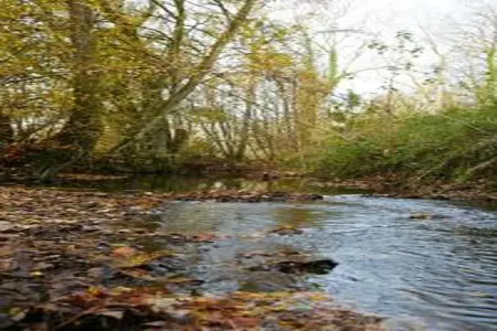 Dreamer 49, Appartement 6 personnes à Signy l’Abbaye - Photo 27