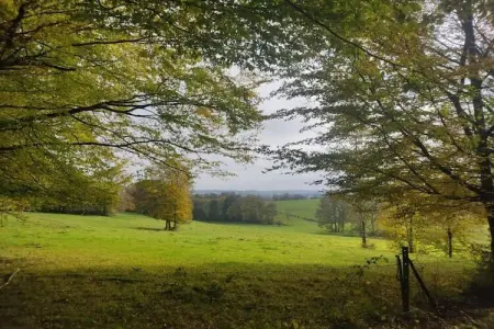 Dreamer 49, Appartement 6 personnes à Signy l’Abbaye - Photo 29