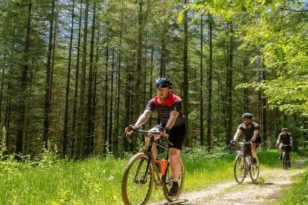 Dreamer 49, Appartement 6 personnes à Signy l’Abbaye - Photo 30