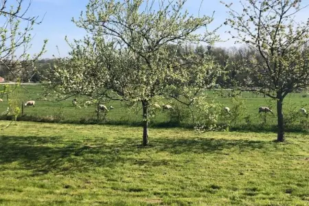 Dreamer 49, Appartement 6 personnes à Signy l’Abbaye - Photo 32