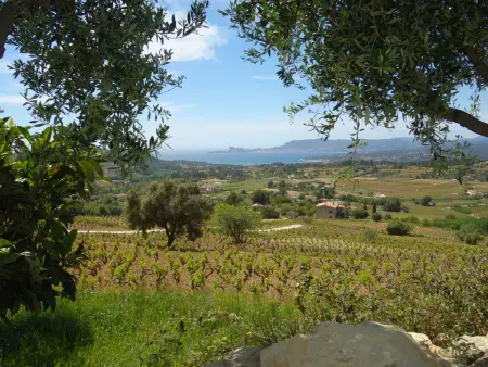 Les Vignes, Maison 4 personnes à La Cadière d'Azur - Photo 20