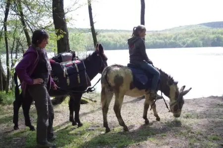 Stardust 40 Family Lodge, Appartement 5 personnes à Signy l’Abbaye - Photo 18