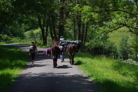 Stardust 40 Family Lodge, Appartement 5 personnes à Signy l’Abbaye - Photo 19