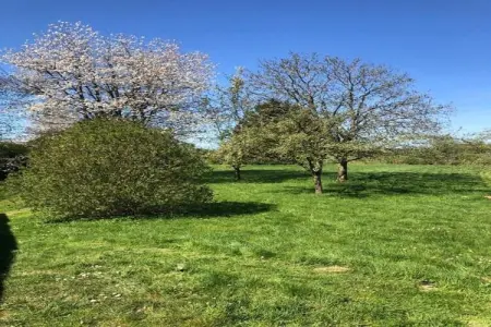 Stardust 40 Family Lodge, Appartement 5 personnes à Signy l’Abbaye - Photo 27