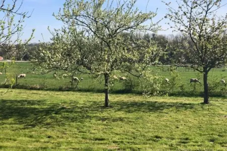 Stardust 40 Family Lodge, Appartement 5 personnes à Signy l’Abbaye - Photo 35