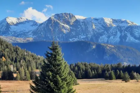 Le Vernon N 406 - 2P5, Appartement 5 personnes à Chamrousse - Photo 15