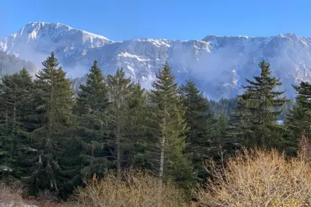 Le Vernon N 406 - 2P5, Appartement 5 personnes à Chamrousse - Photo 17