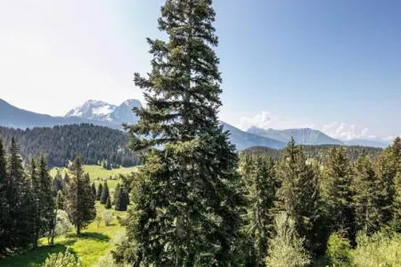 Le Vernon N 406 - 2P5, Appartement 5 personnes à Chamrousse - Photo 20