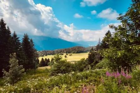 Le Vernon N 406 - 2P5, Appartement 5 personnes à Chamrousse - Photo 25