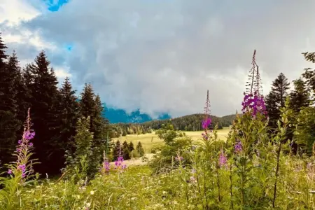 Le Vernon N 406 - 2P5, Appartement 5 personnes à Chamrousse - Photo 27